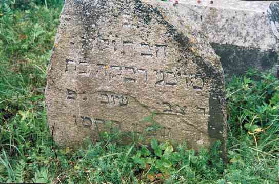 Kretinga - Jewish Cemetery 6